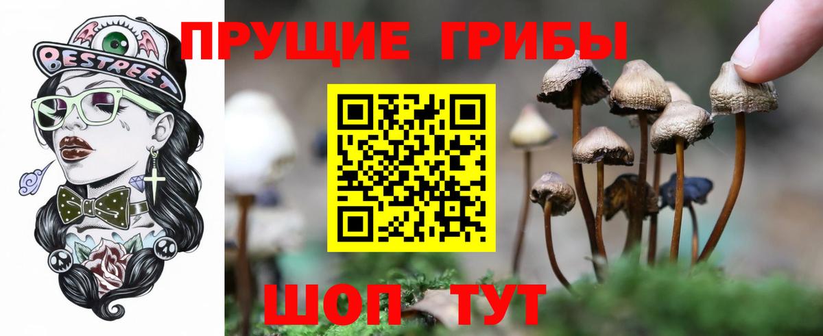 Галлюциногенные грибы Psilocybe  Вход с VPN  Галлюциногенные грибы MAGIC MUSHROOMS  Белорецк 